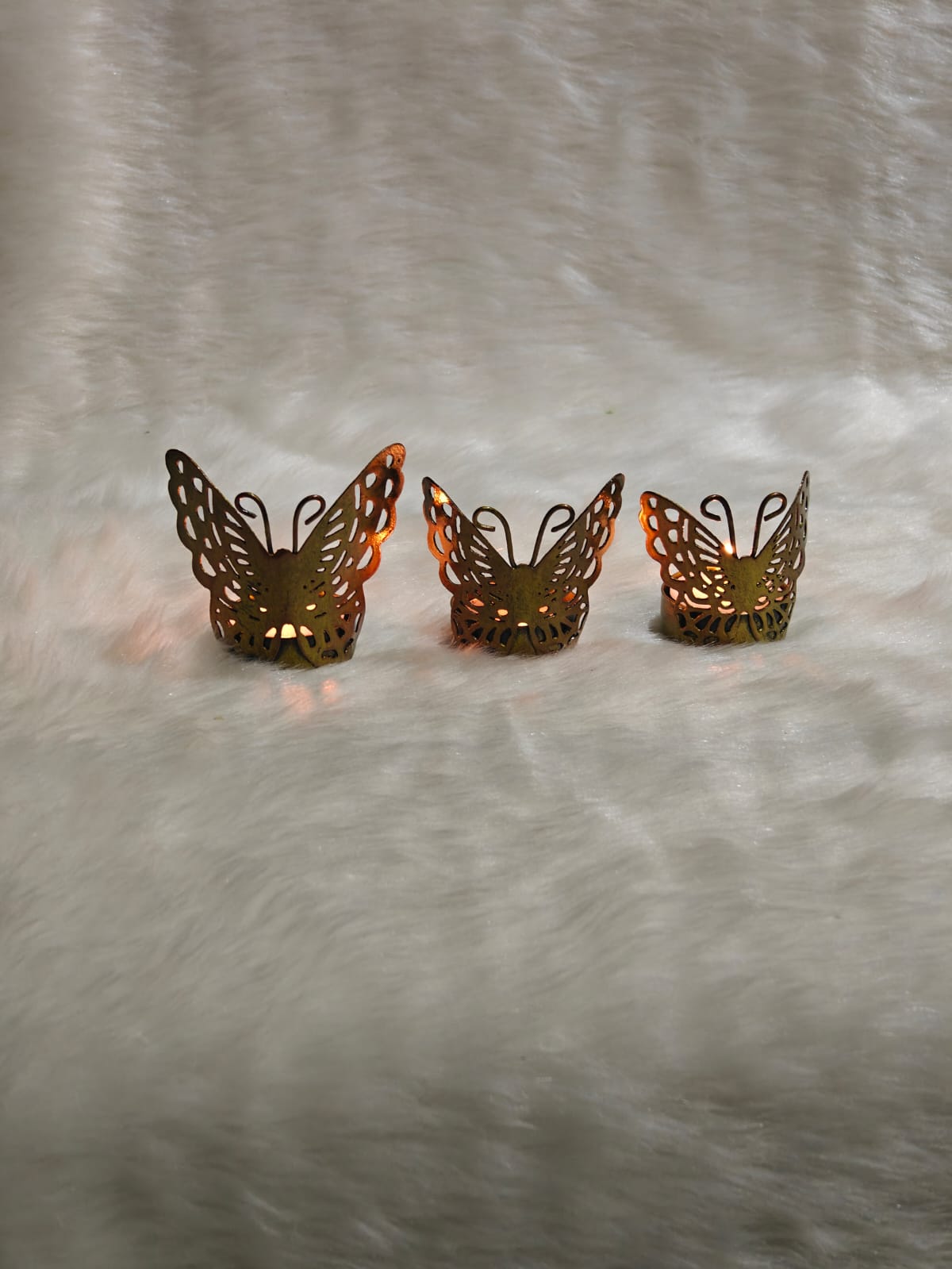 Butterfly Tlight - Image 4