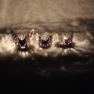 Butterfly Tlight
