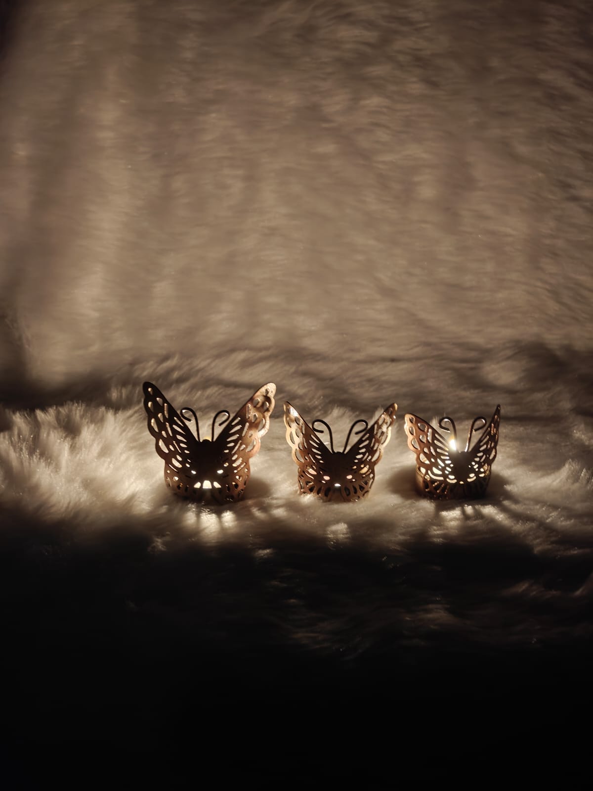 Butterfly Tlight - Image 3