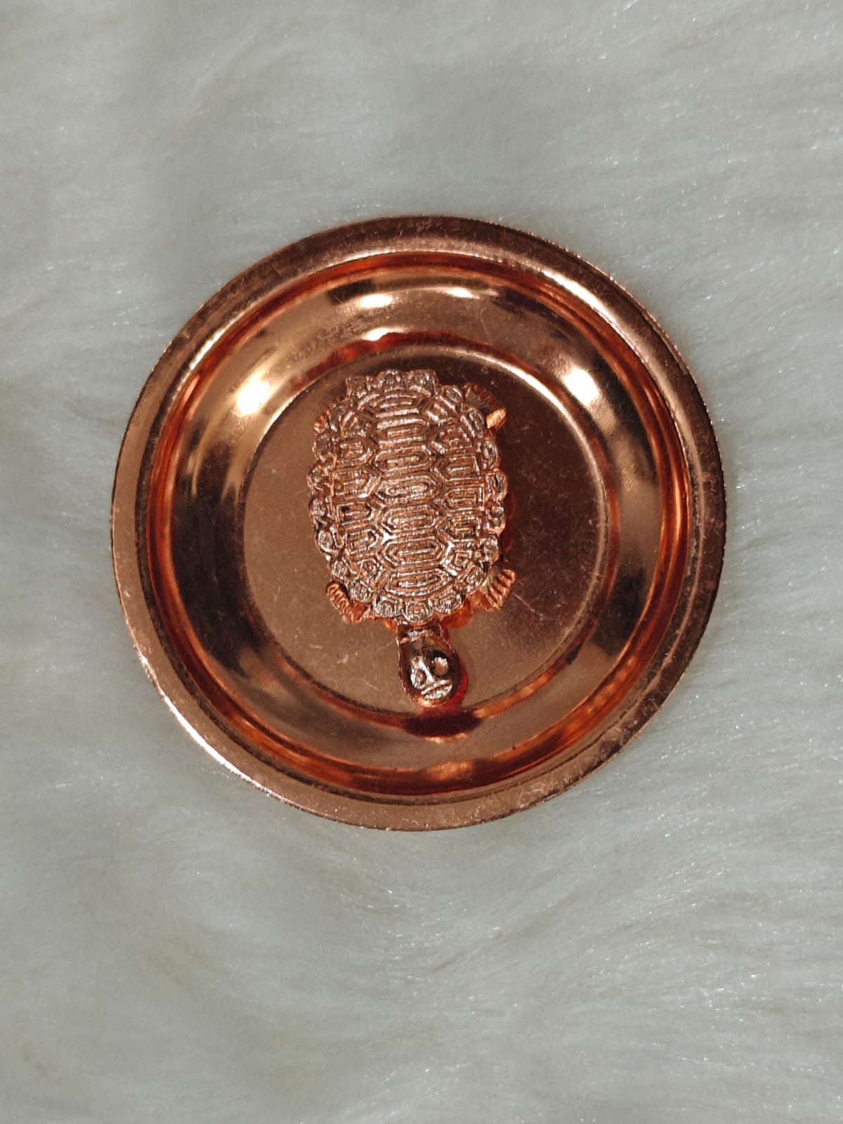 Lucky turtle - Image 4