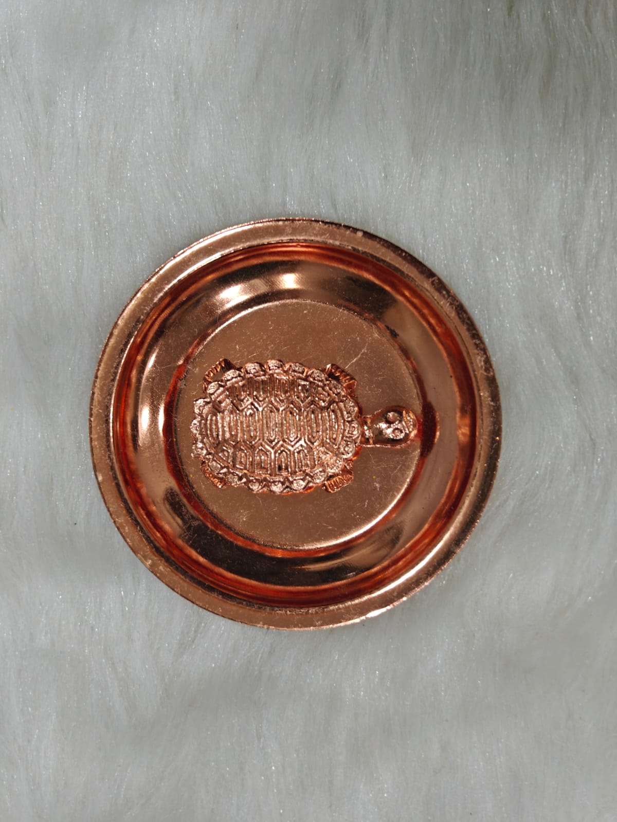 Lucky turtle - Image 3