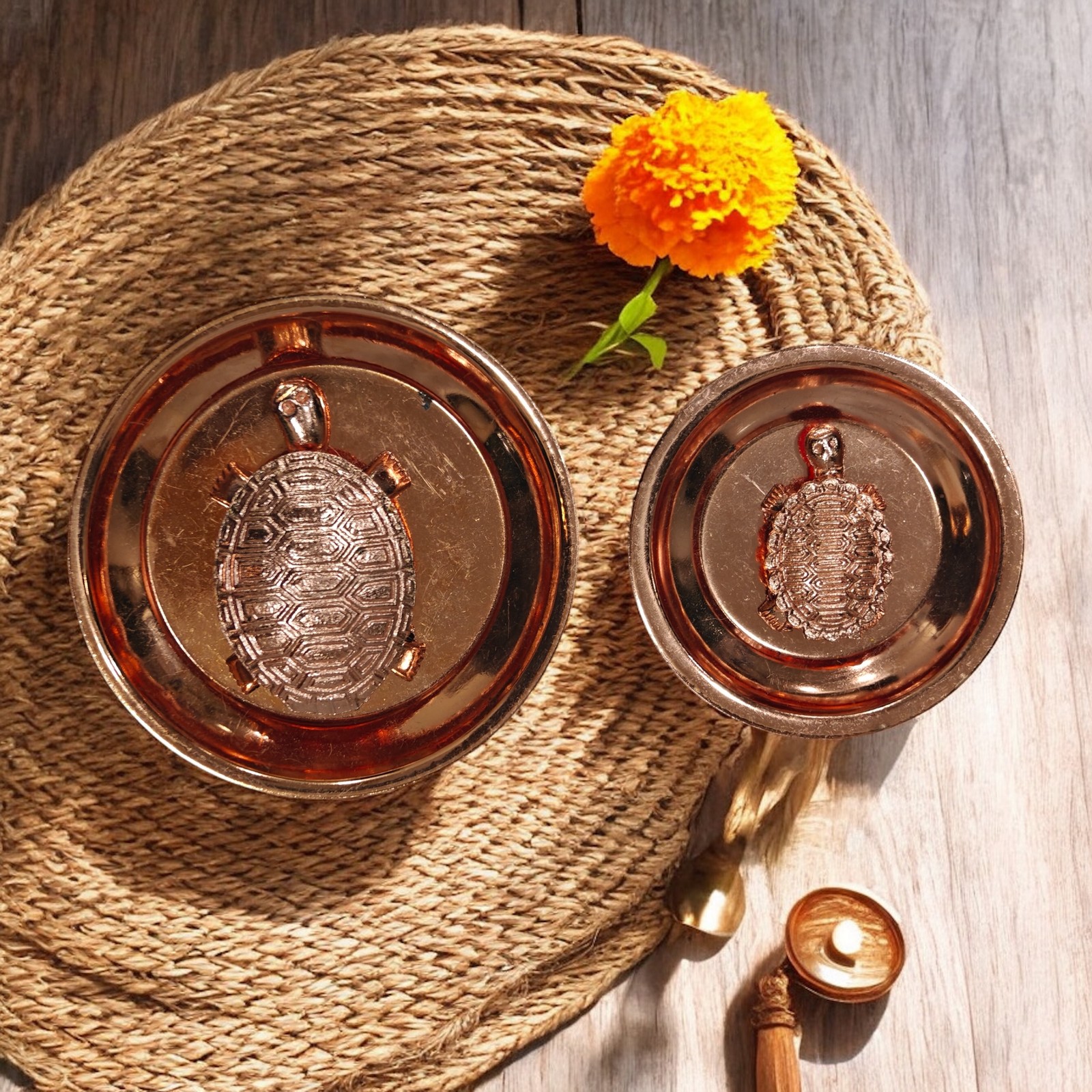 Lucky Turtle Metal Plate โ view 5