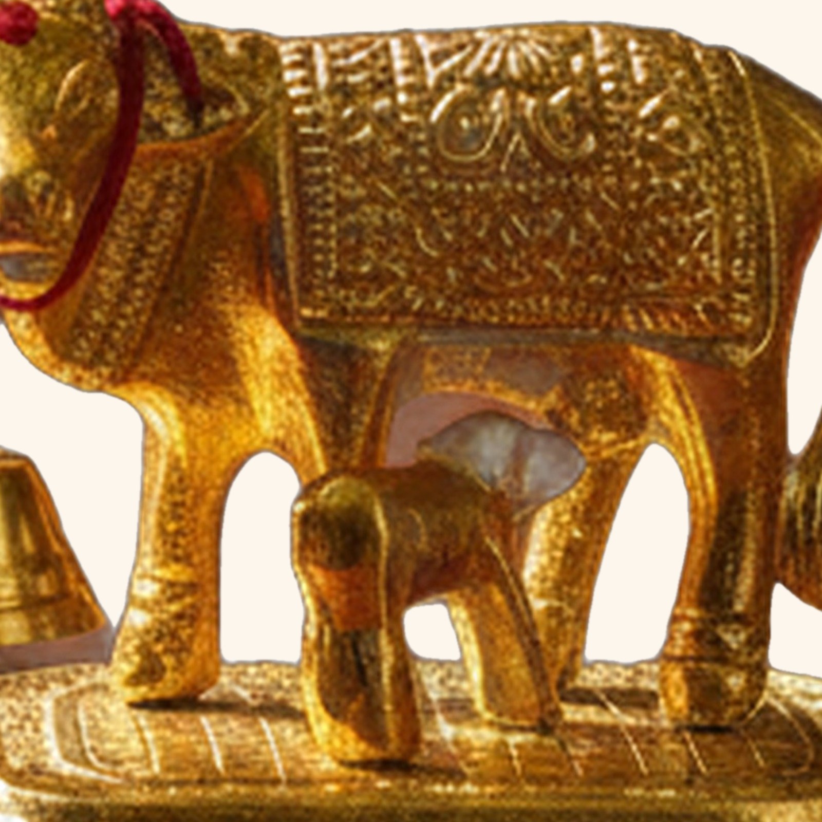 Kamdhenu Golden, close up of the detail