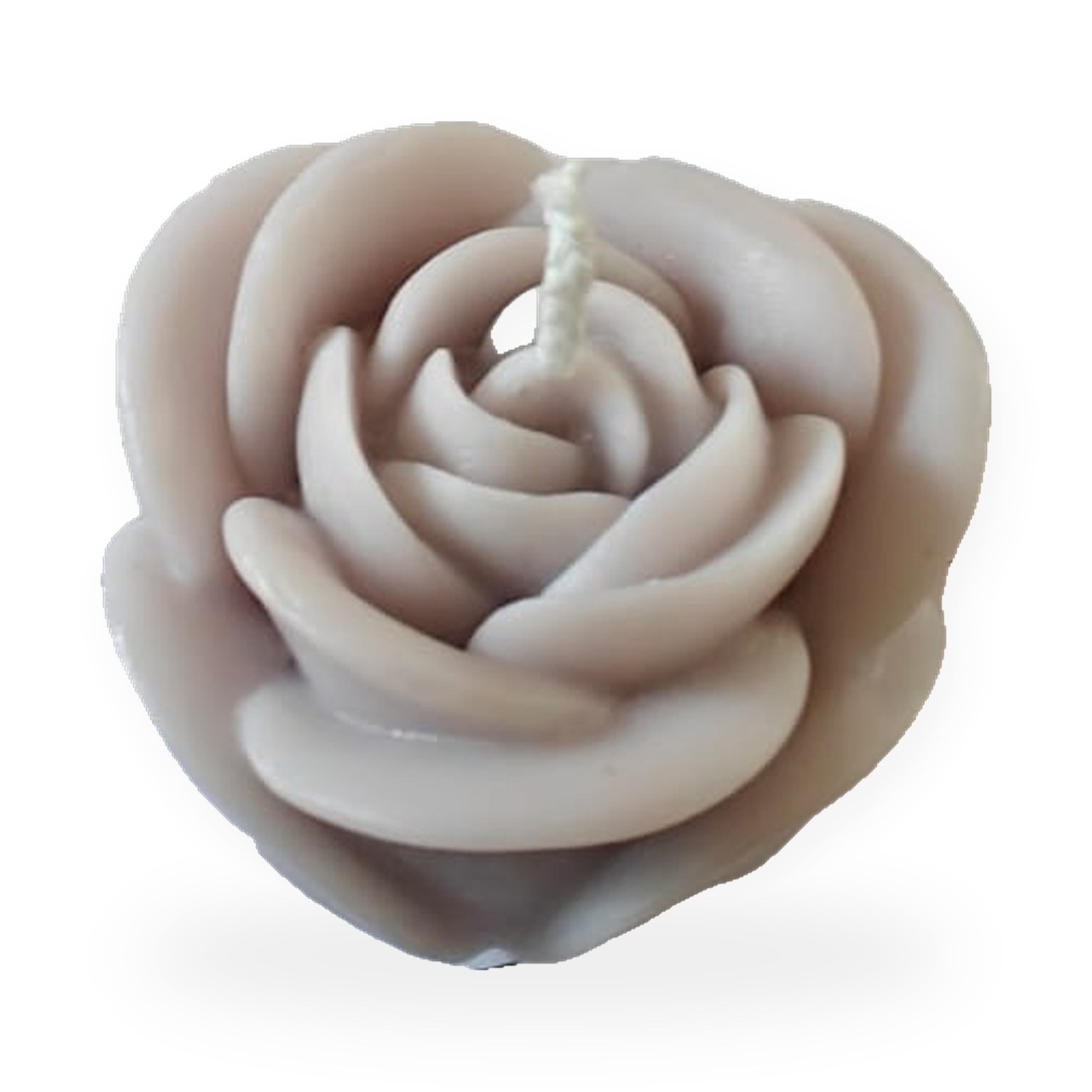Rose Bloom Candle, on a white background