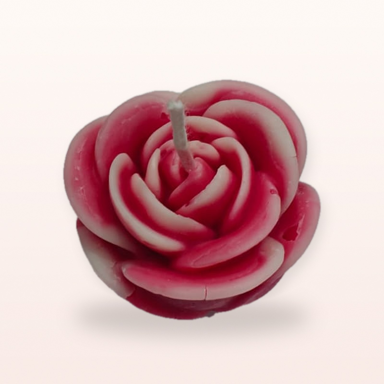 Rose Bloom Candle, on a soft blush background