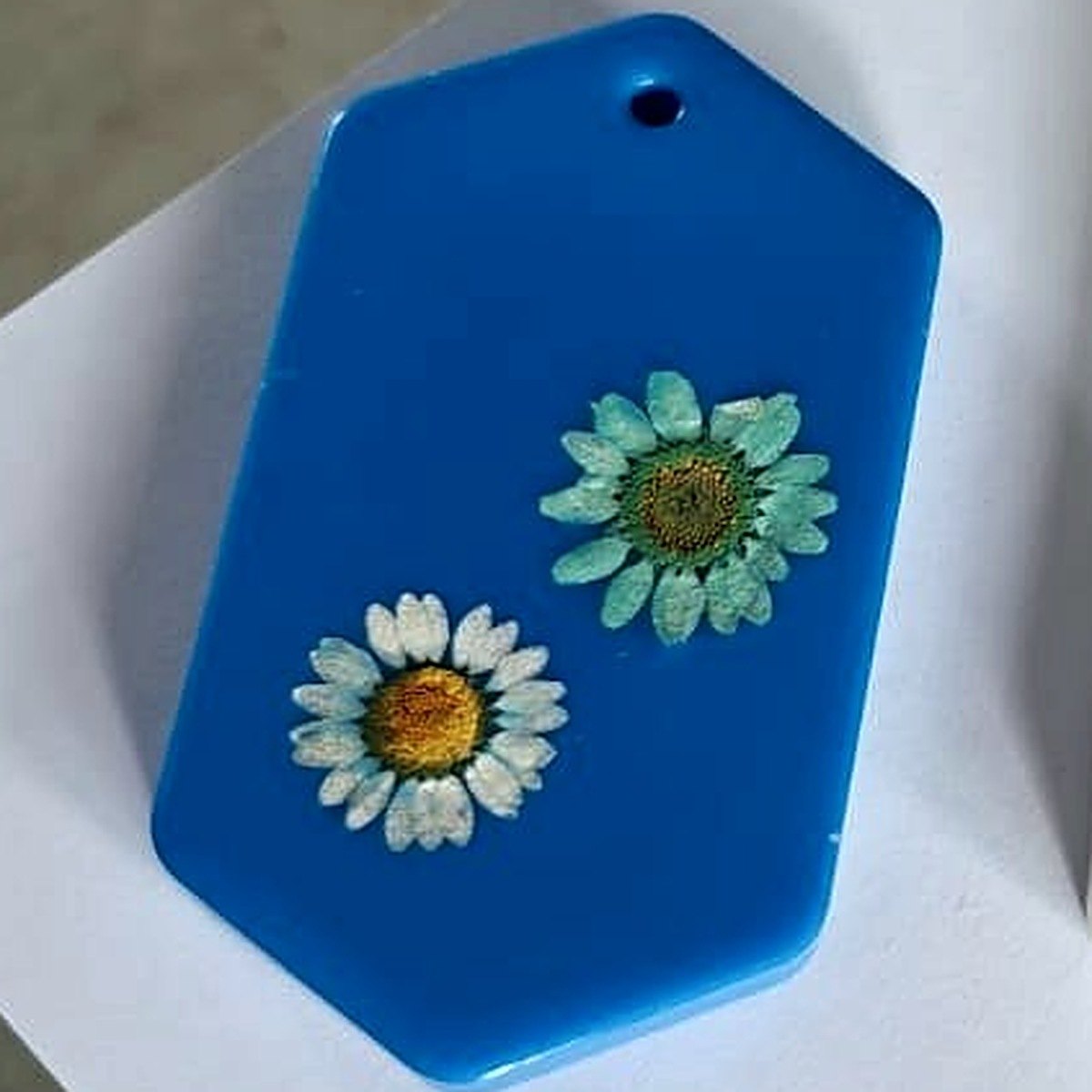 Blue hexagon Botanical Wax Tag with two pressed daisies, close view