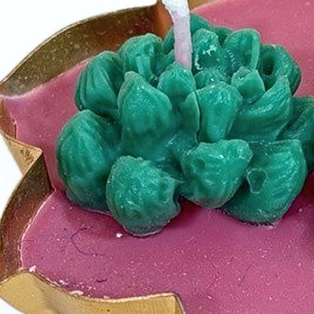 Close up of a sculpted green succulent and its wick on the pink wax of the Urli Candle