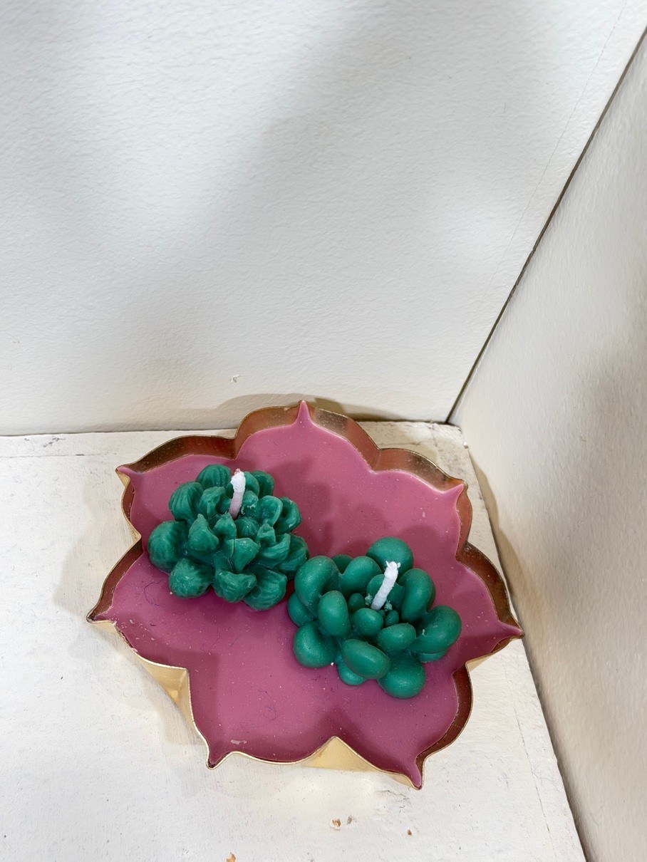 Urli Candle with two green succulents in pink wax, in a gold urli placed in a white corner