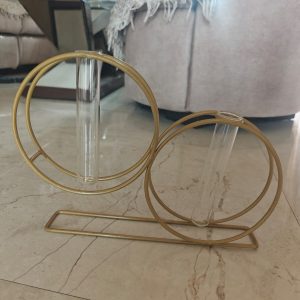 Double Ring Test Tube Planter